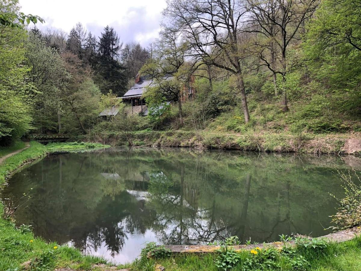 Hastiere-par-dela La Cabane D'Helie - Cottage En Pleine Foret - Domaine Du Bonsoy מראה חיצוני תמונה